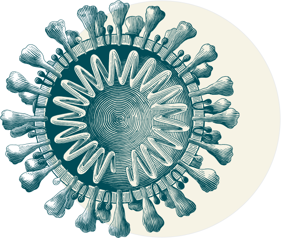 Happy professional woman shaking hands with an Invivyd employee she is in partnership with